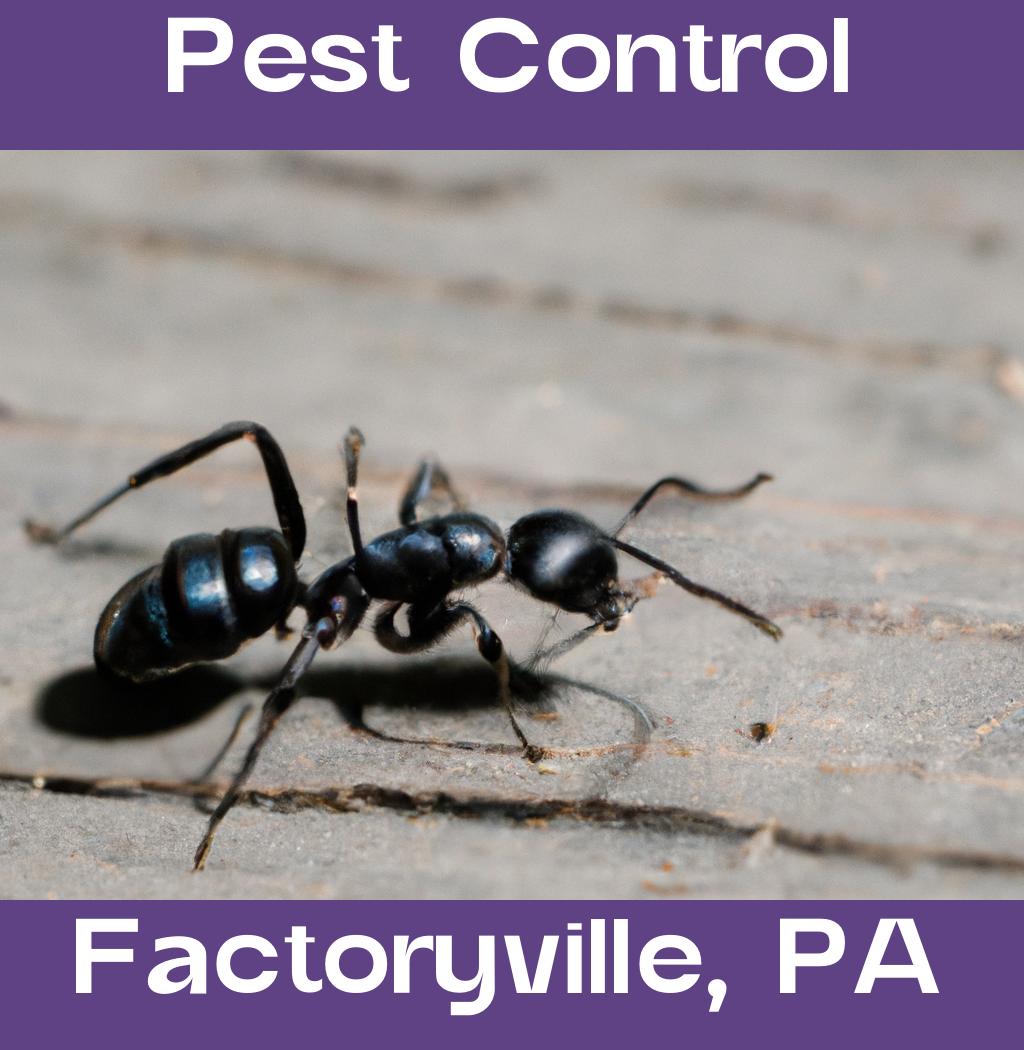 pest control in Factoryville Pennsylvania