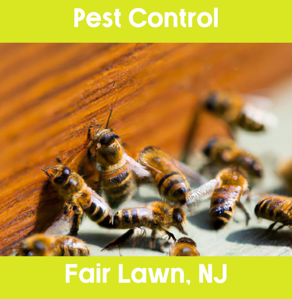 pest control in Fair Lawn New Jersey