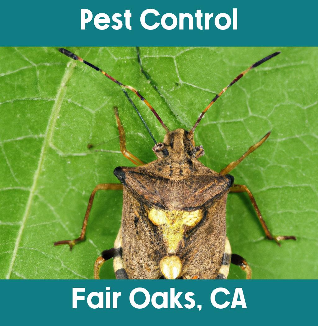 pest control in Fair Oaks California