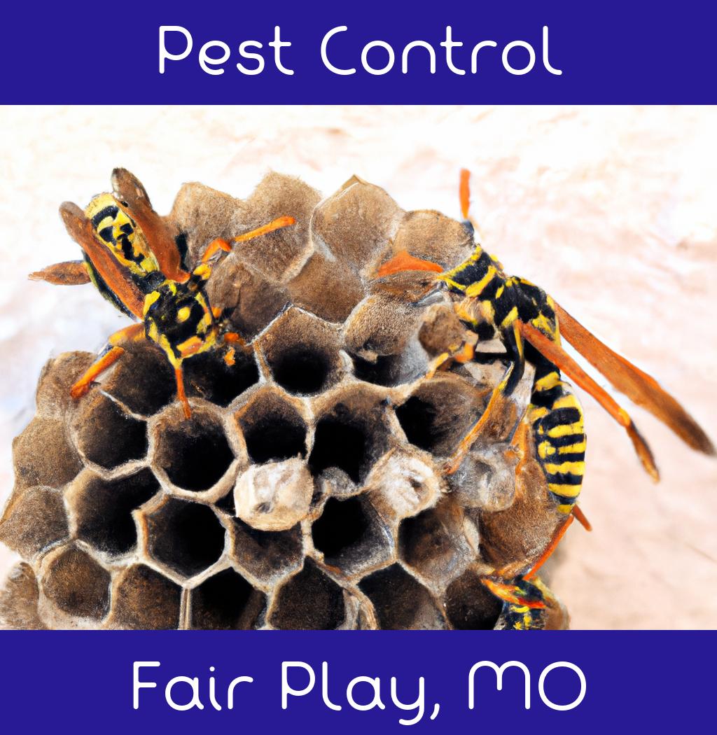 pest control in Fair Play Missouri