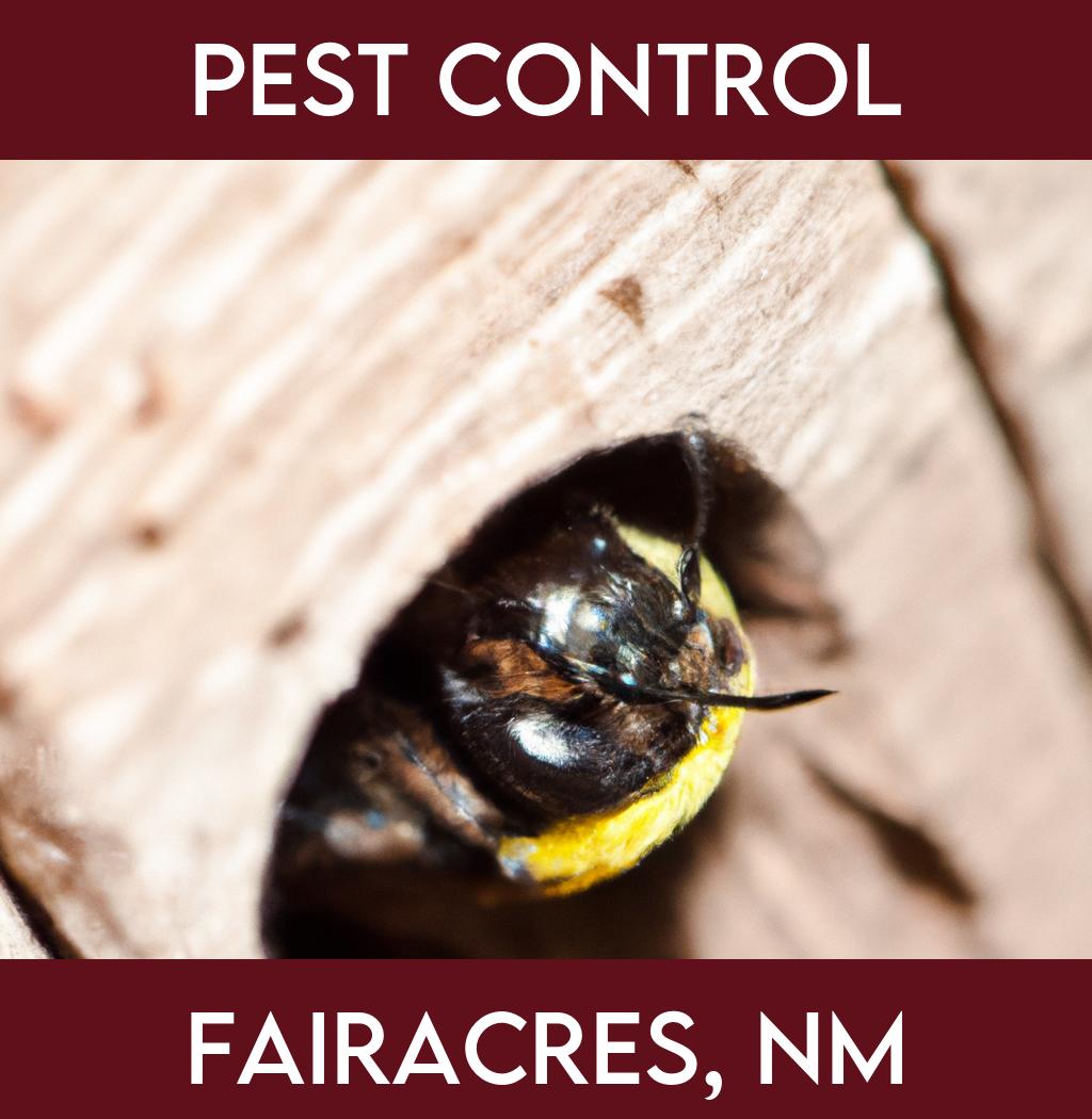 pest control in Fairacres New Mexico