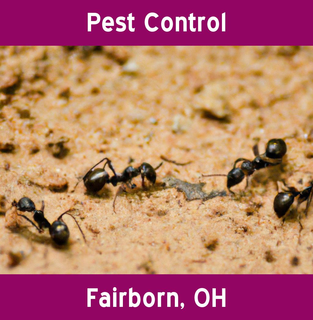 pest control in Fairborn Ohio