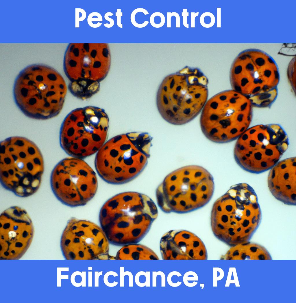 pest control in Fairchance Pennsylvania