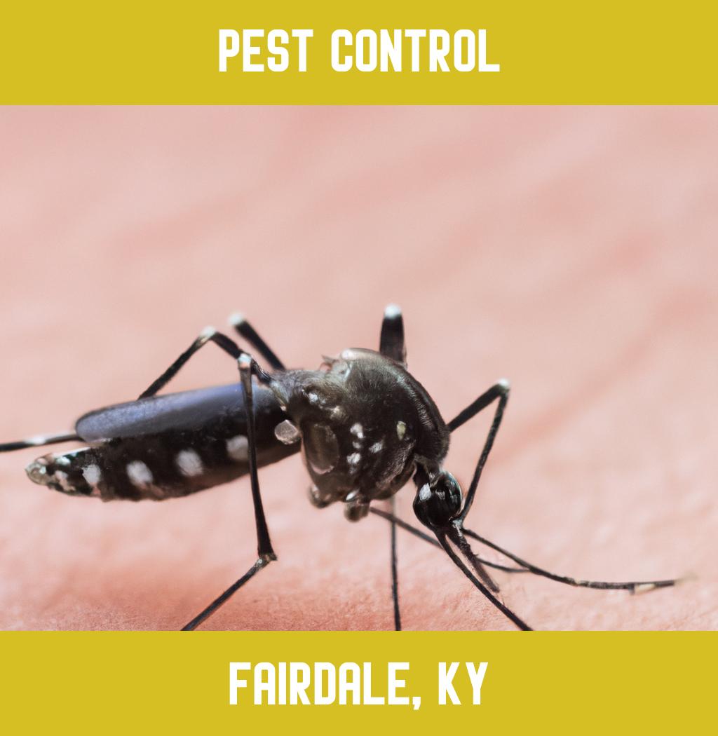 pest control in Fairdale Kentucky