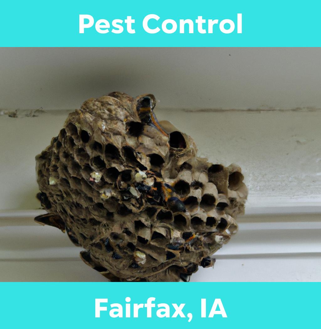pest control in Fairfax Iowa