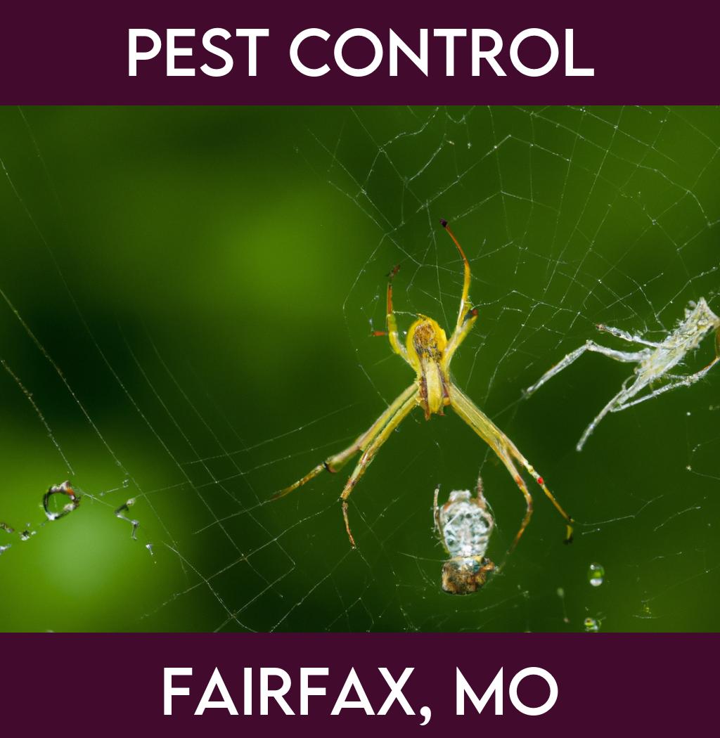 pest control in Fairfax Missouri