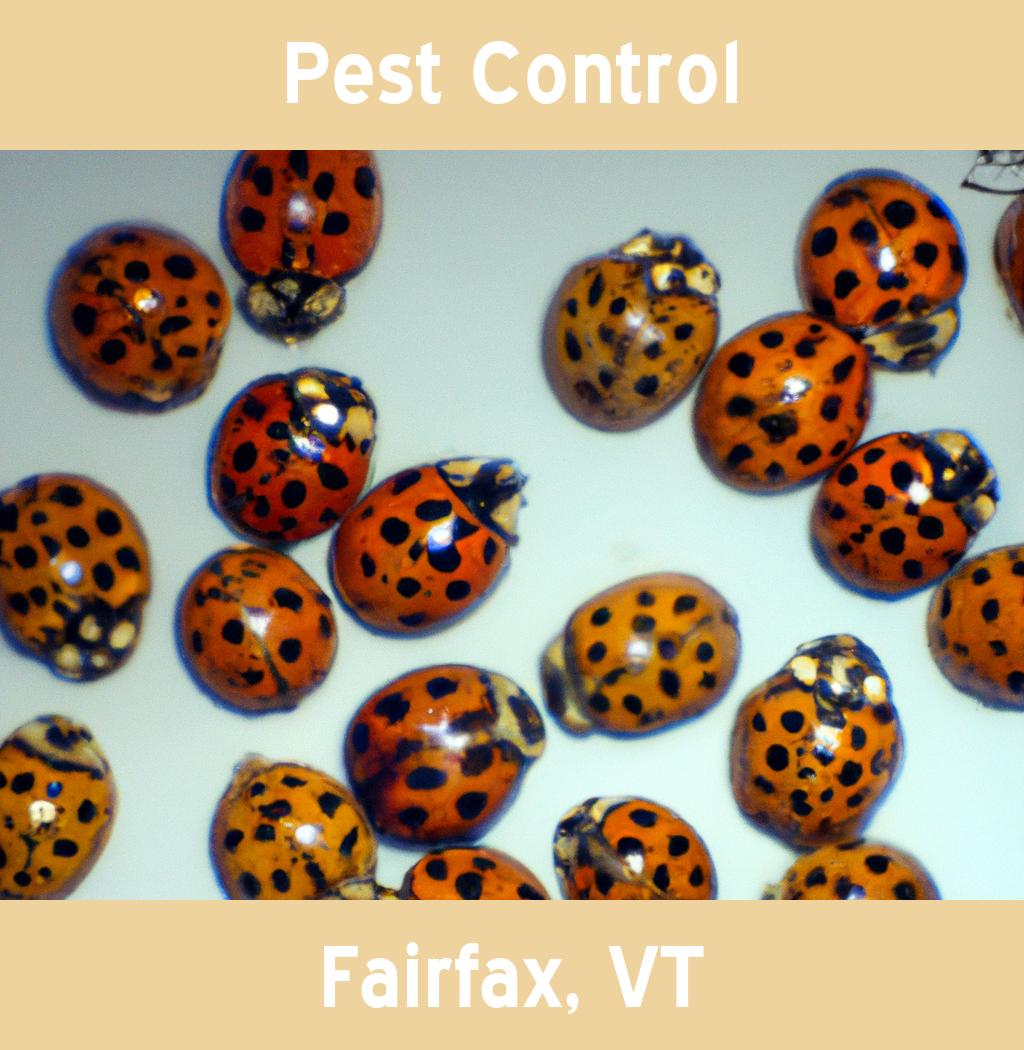 pest control in Fairfax Vermont