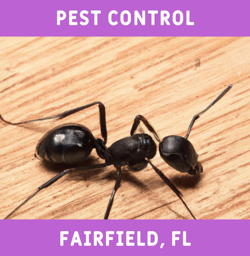 pest control in Fairfield Florida
