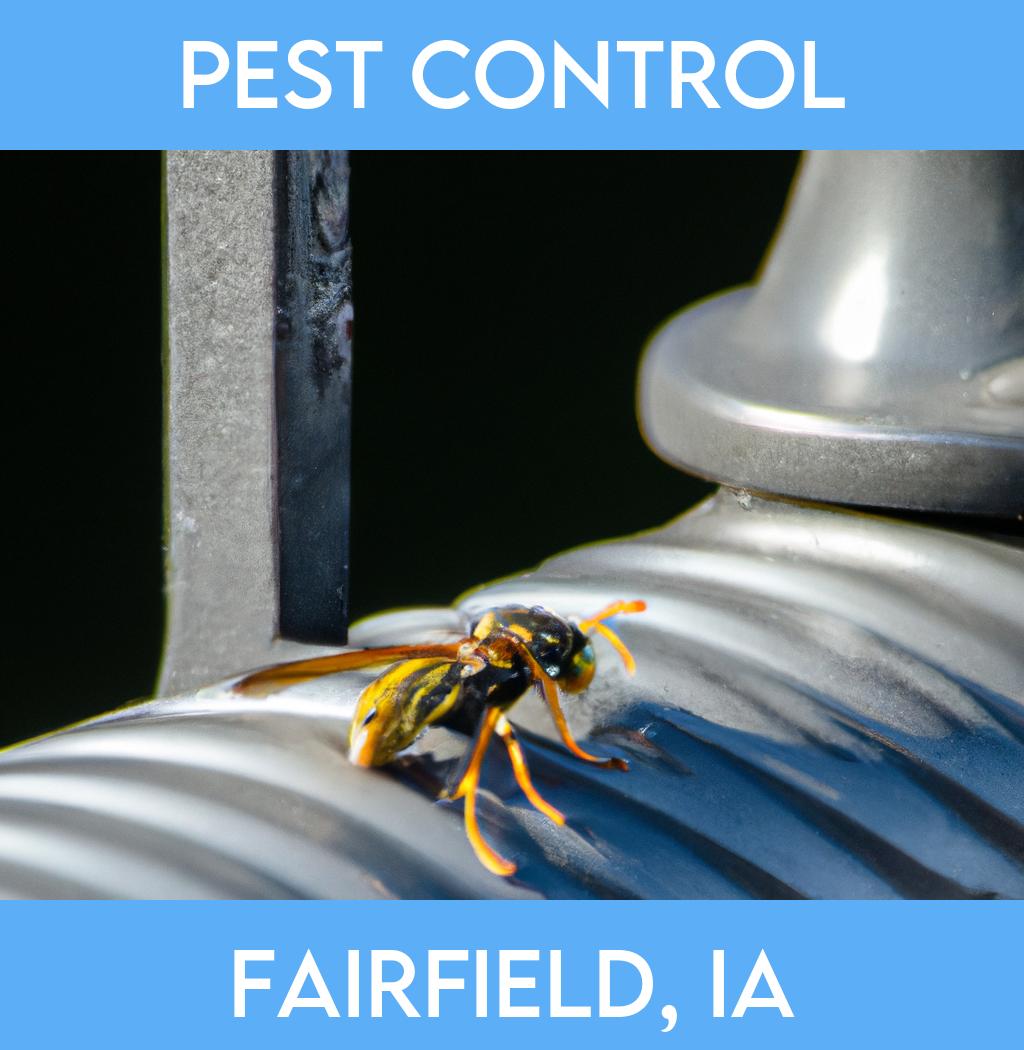 pest control in Fairfield Iowa