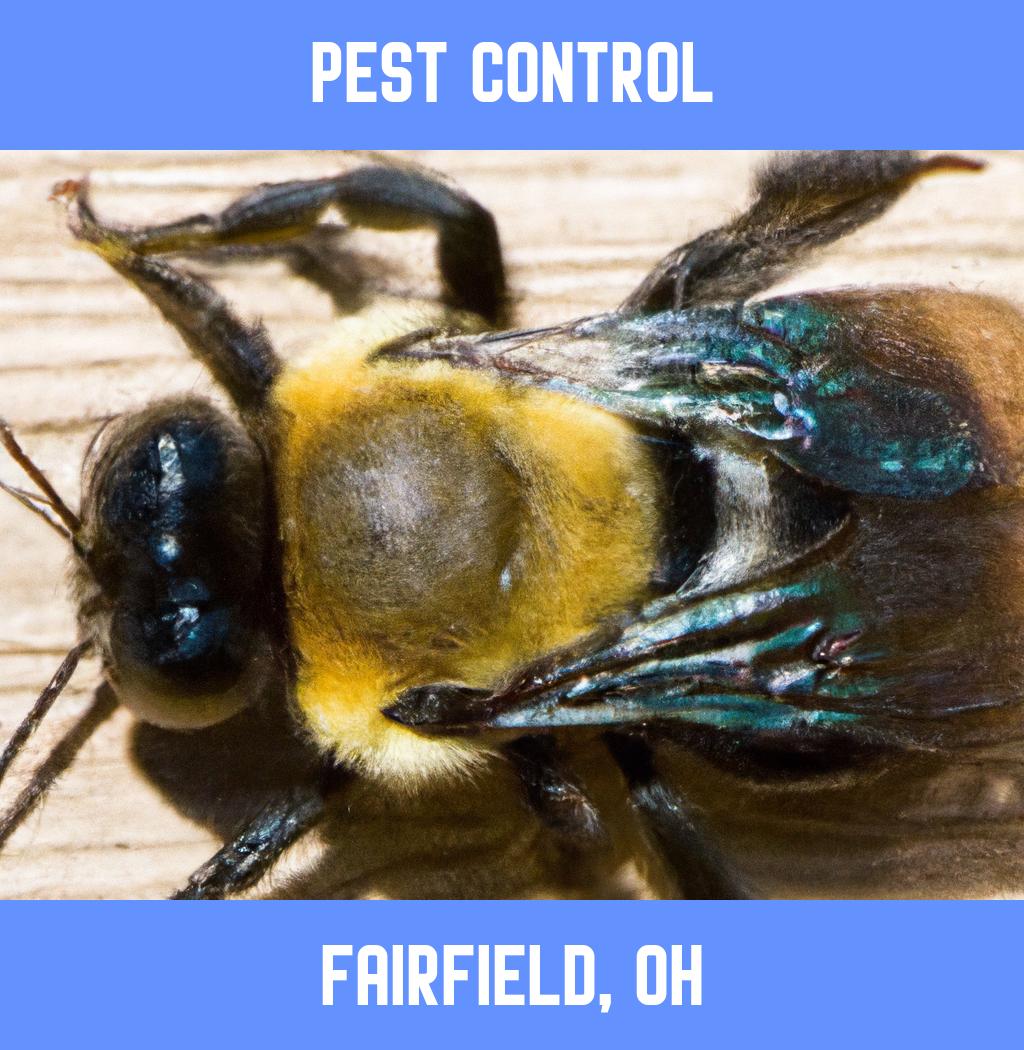 pest control in Fairfield Ohio
