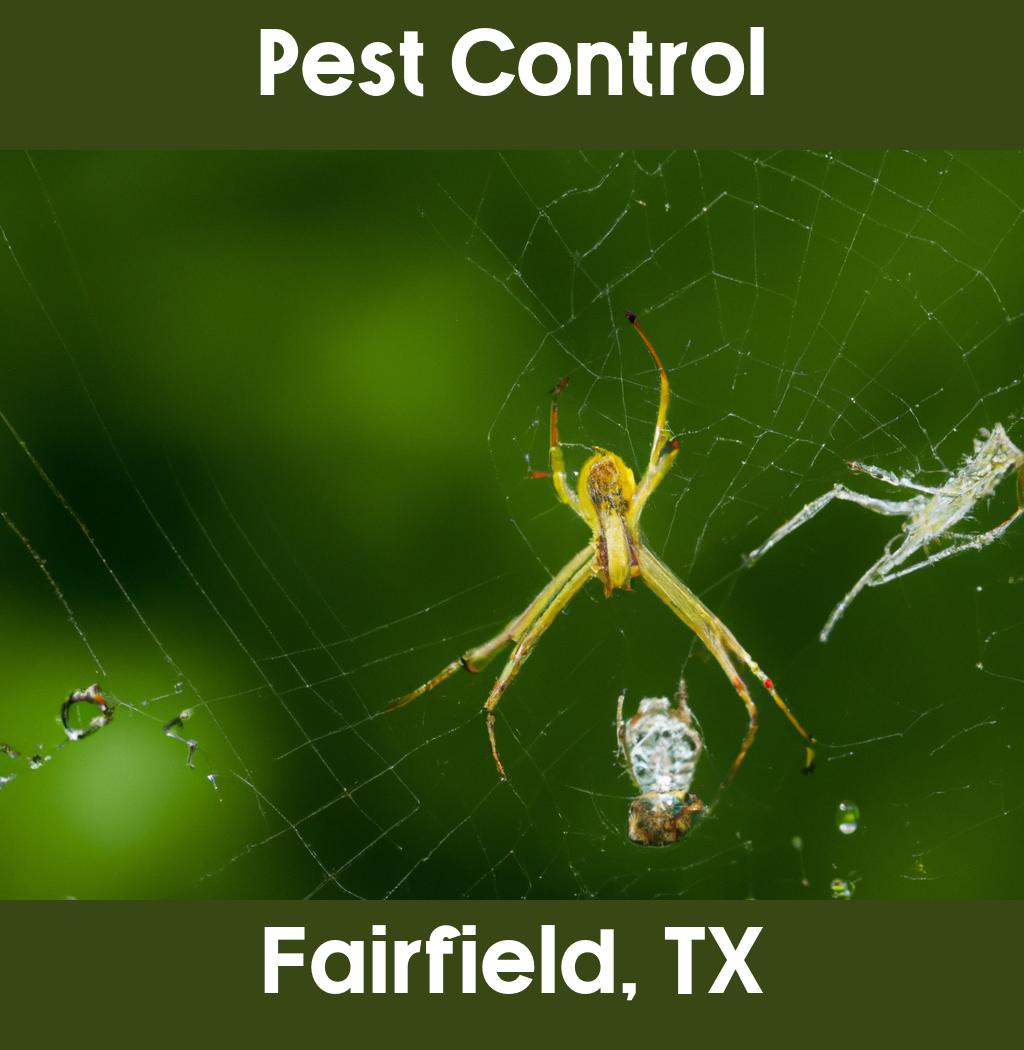 pest control in Fairfield Texas
