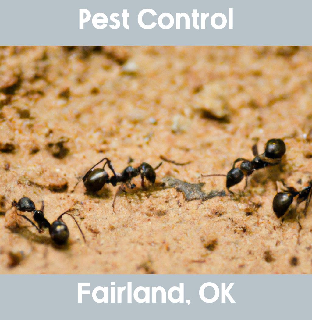 pest control in Fairland Oklahoma