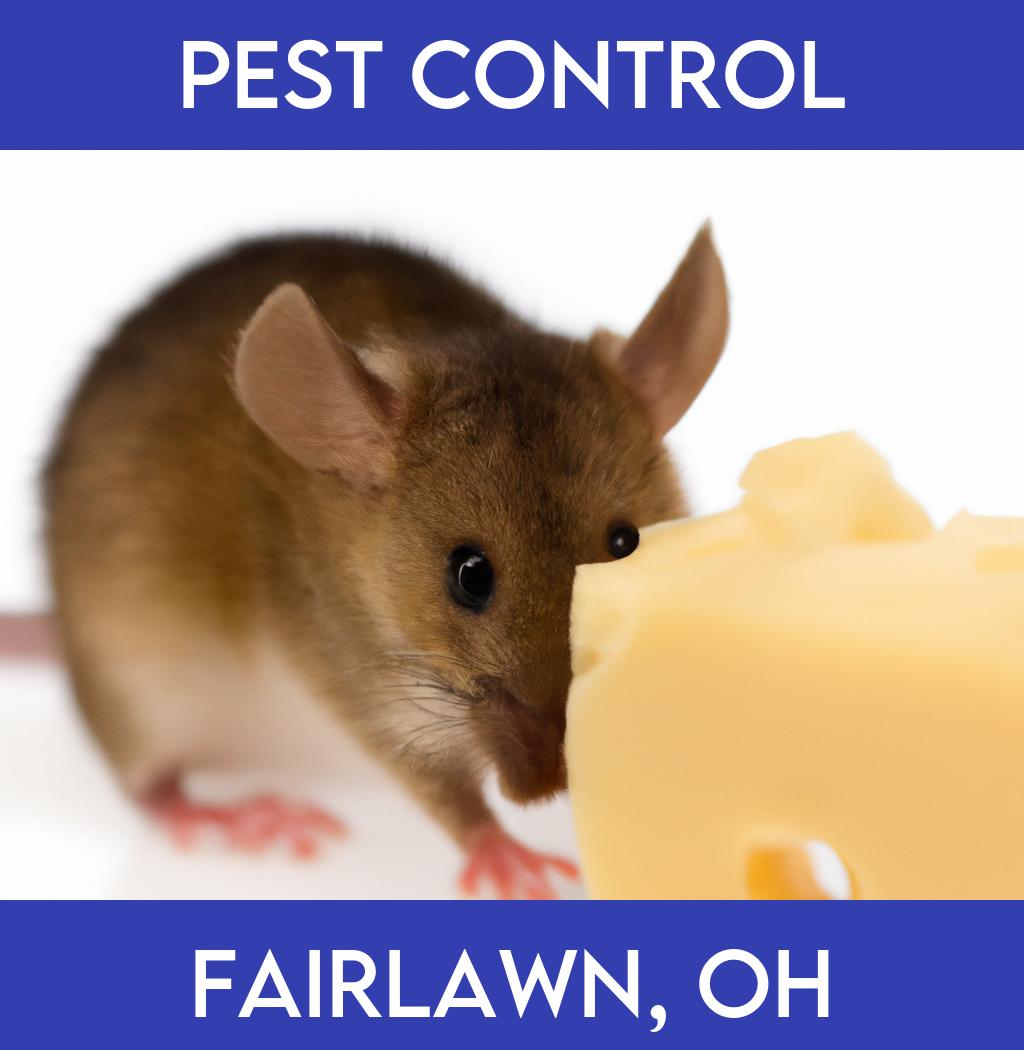 pest control in Fairlawn Ohio