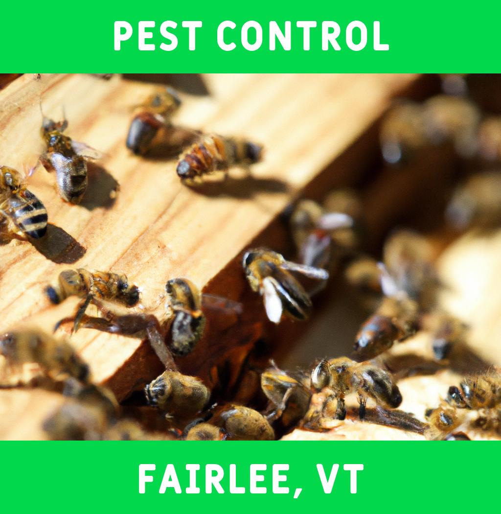 pest control in Fairlee Vermont