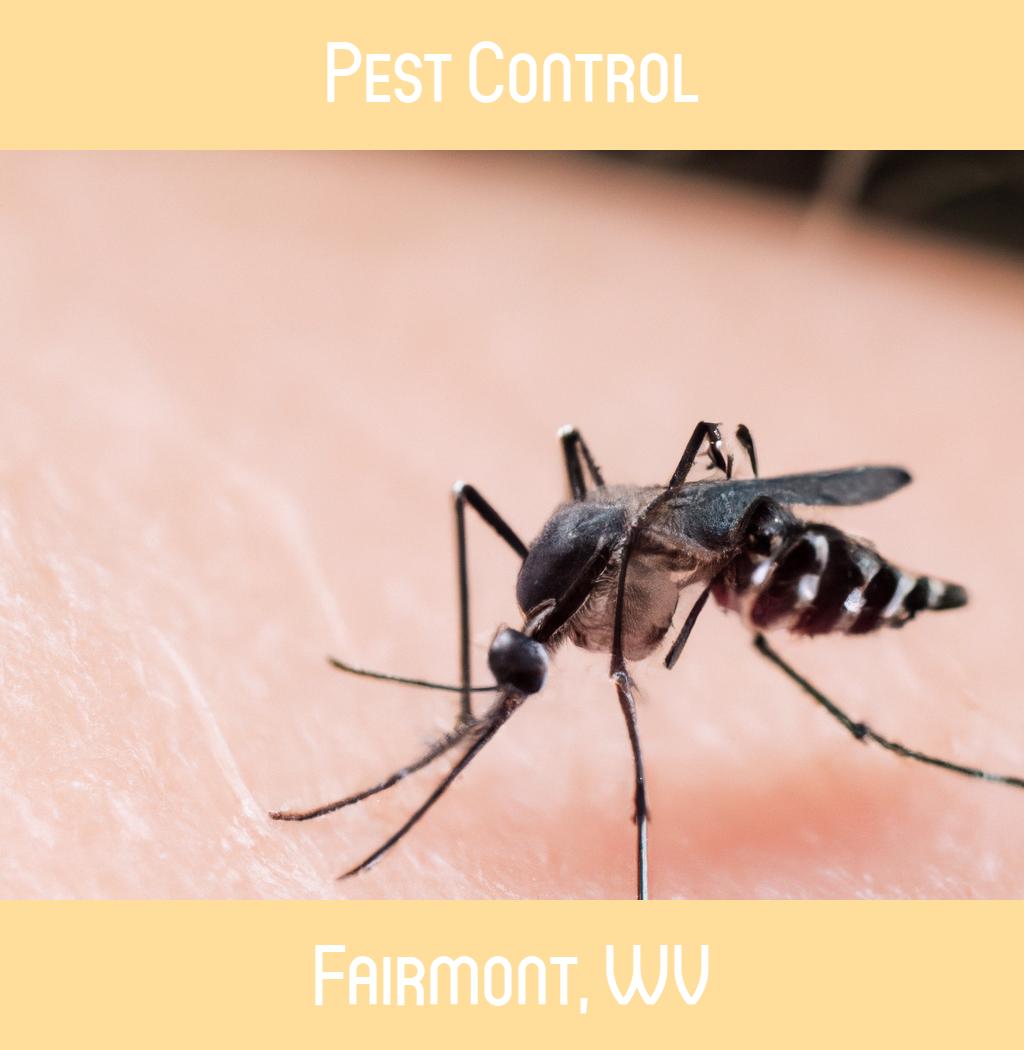 pest control in Fairmont West Virginia