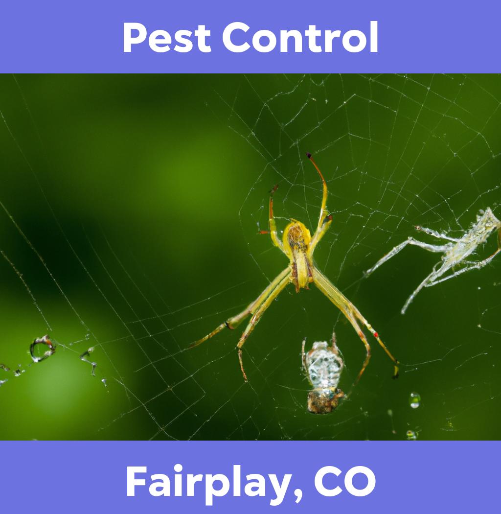 pest control in Fairplay Colorado