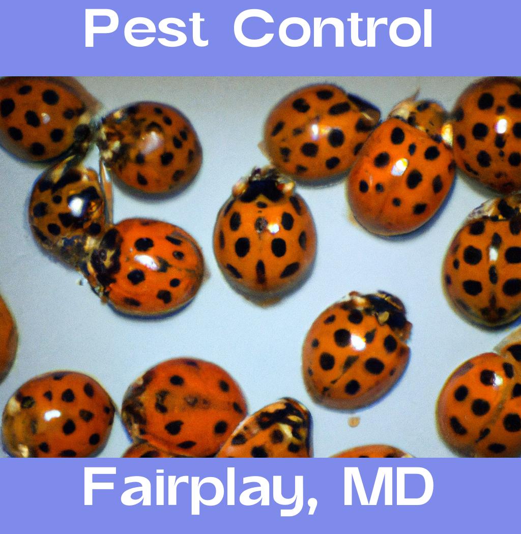 pest control in Fairplay Maryland
