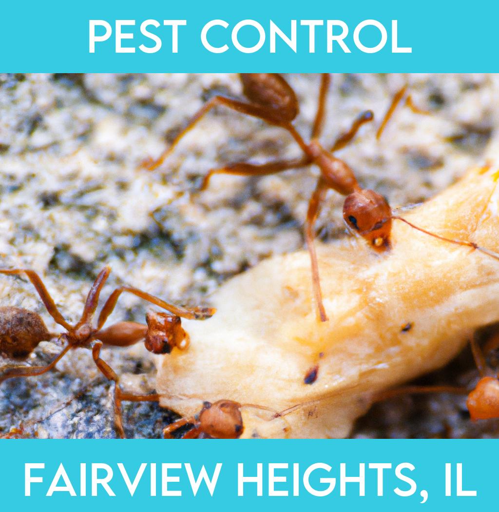 pest control in Fairview Heights Illinois