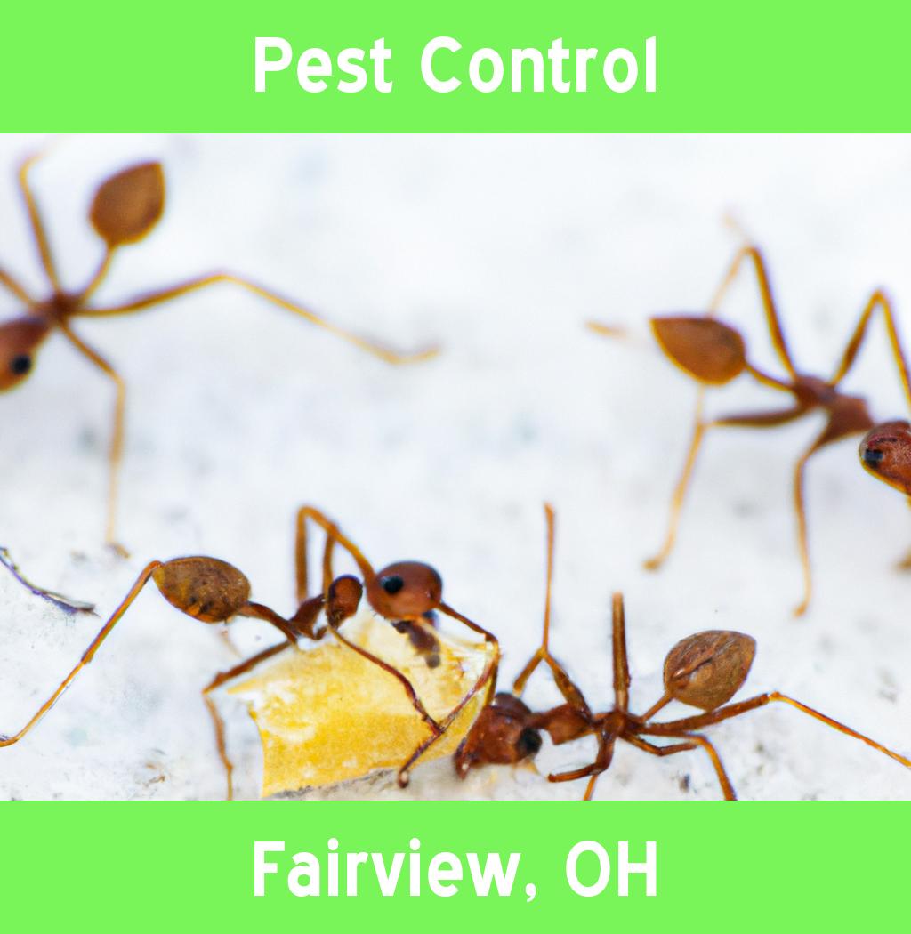 pest control in Fairview Ohio