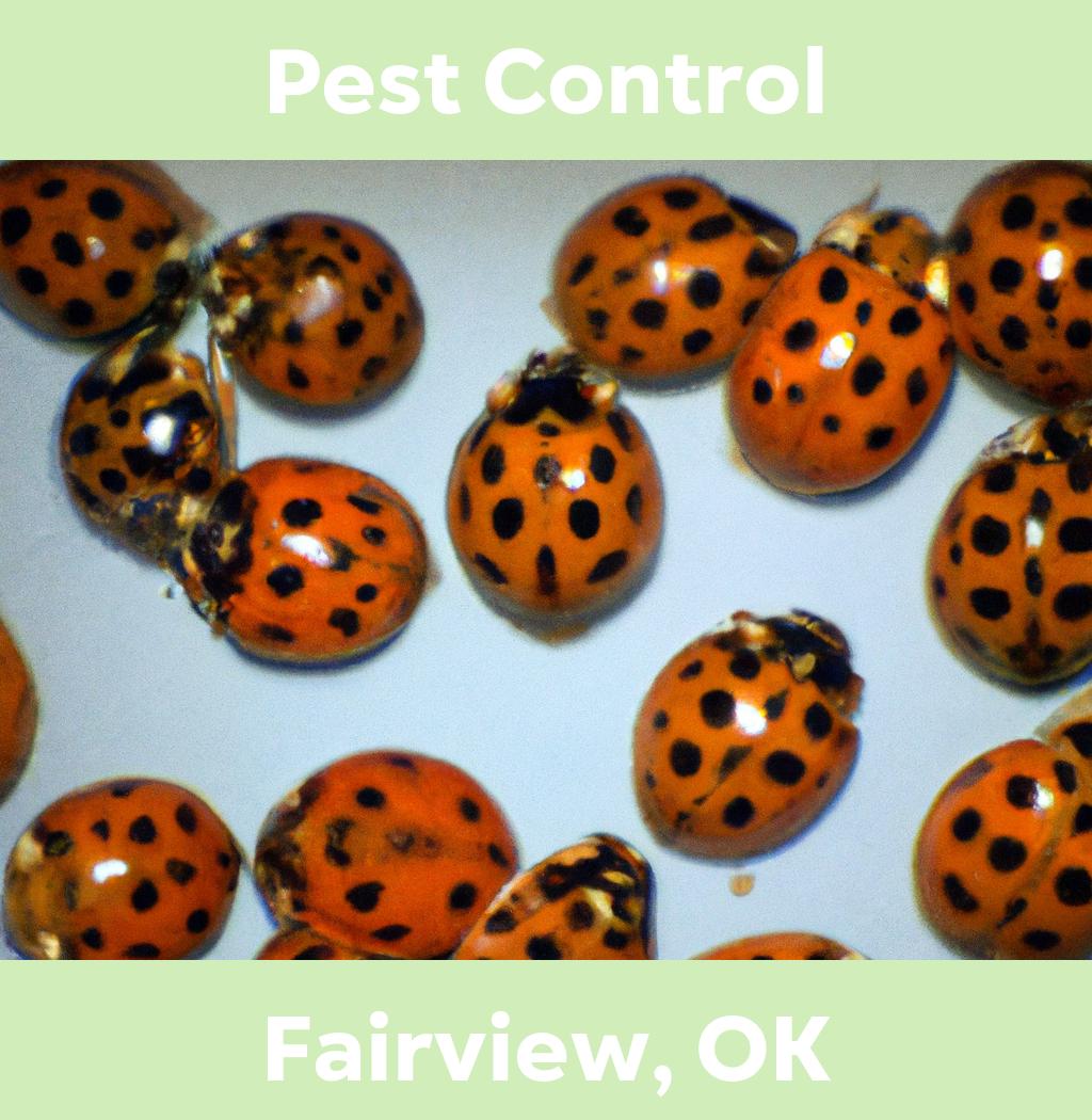 pest control in Fairview Oklahoma