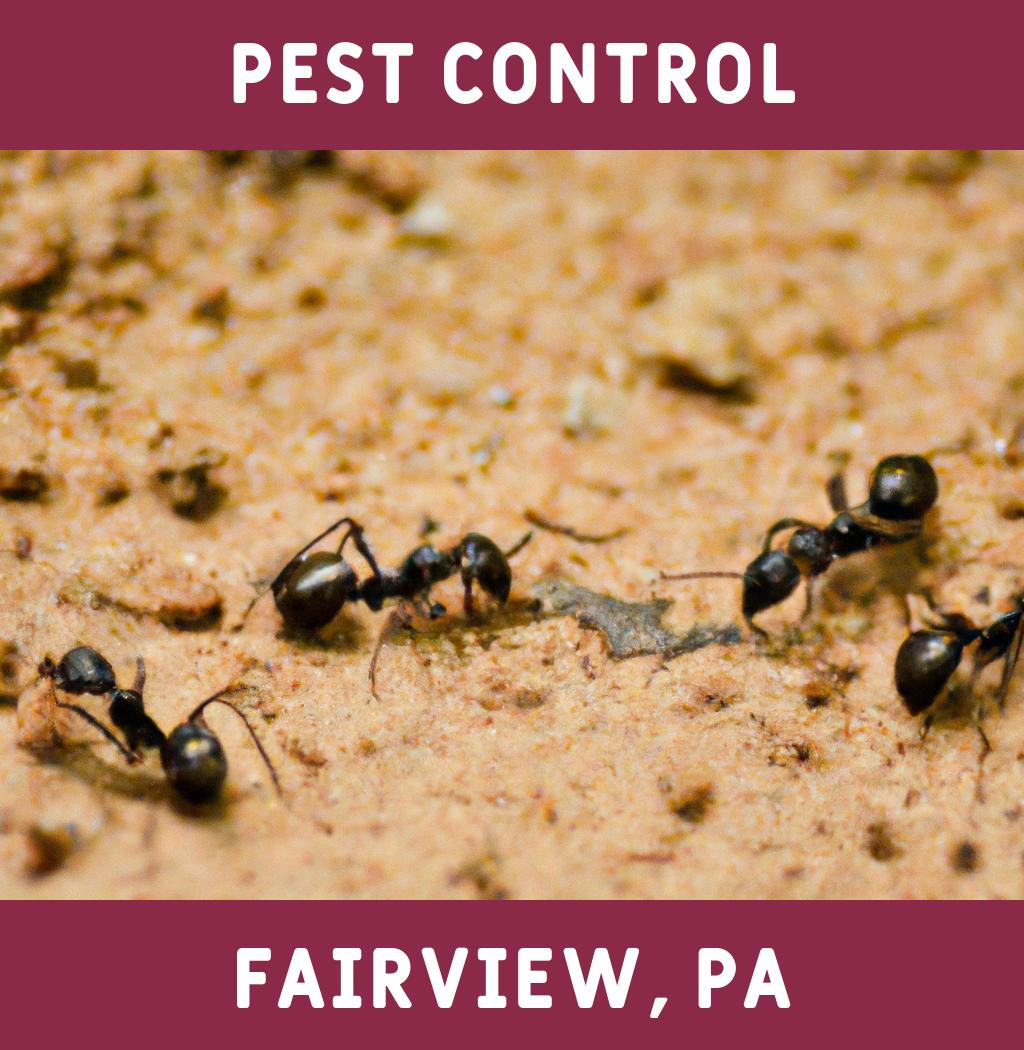 pest control in Fairview Pennsylvania