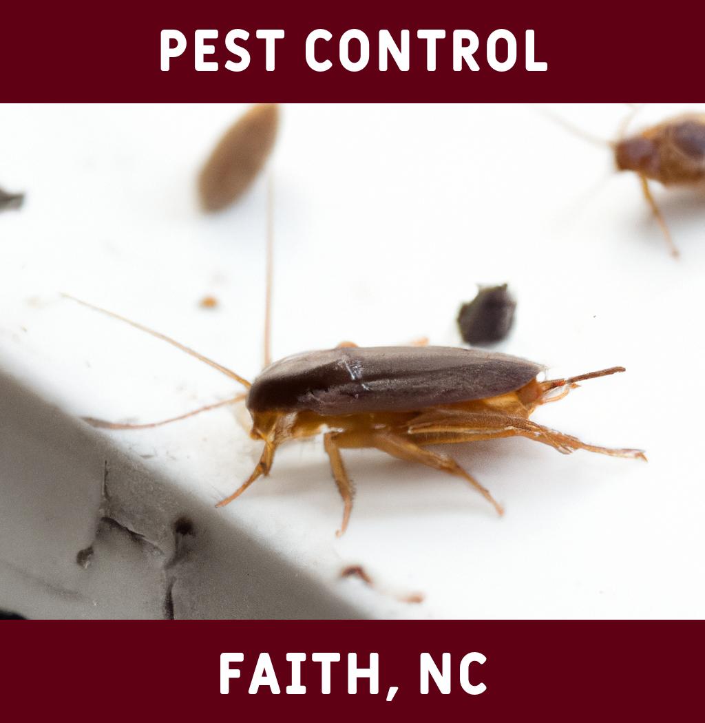 pest control in Faith North Carolina