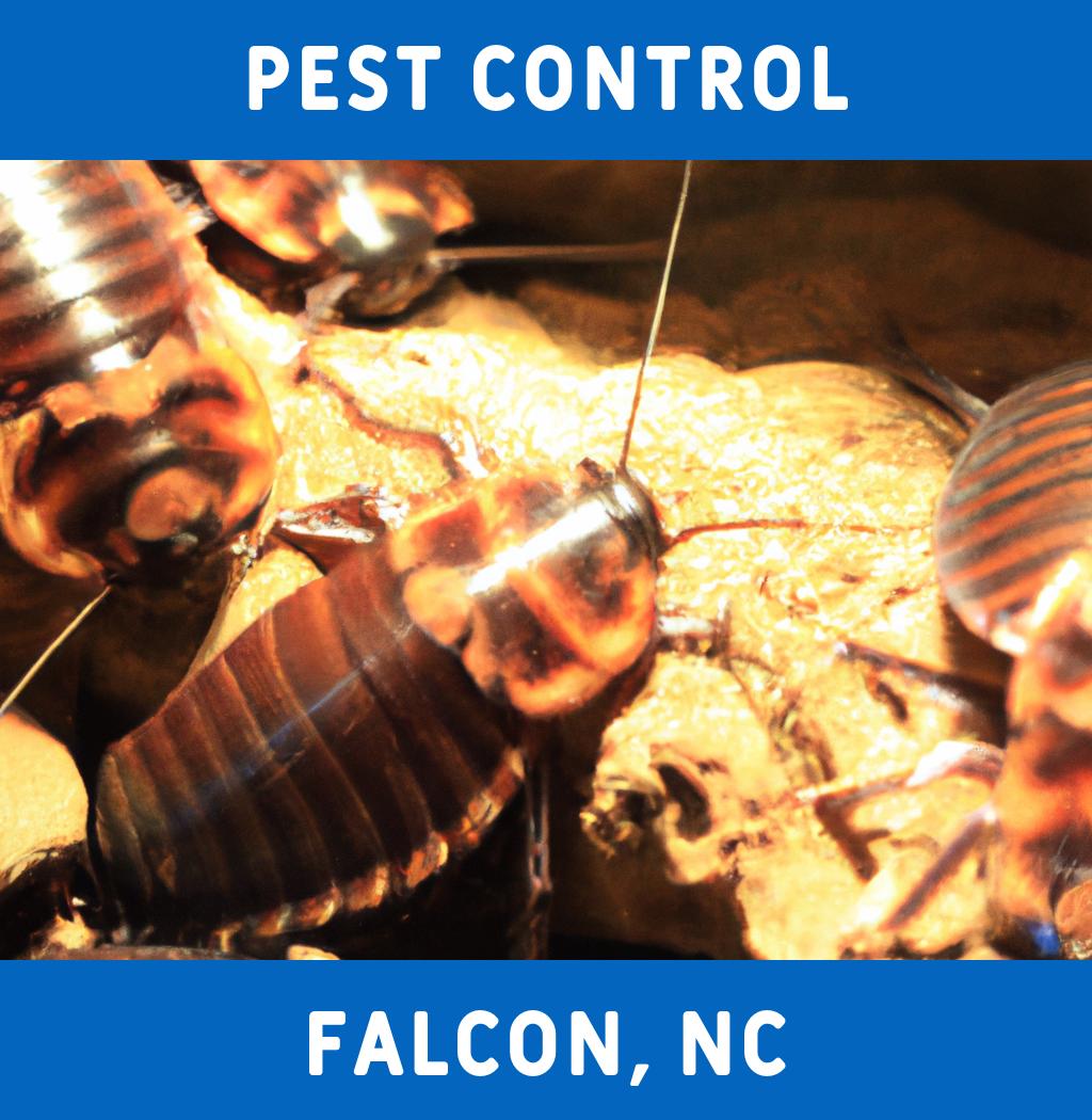 pest control in Falcon North Carolina