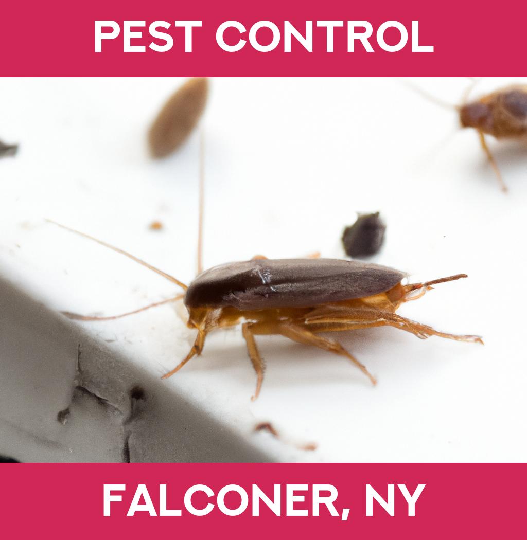 pest control in Falconer New York