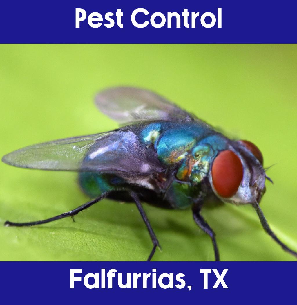 pest control in Falfurrias Texas