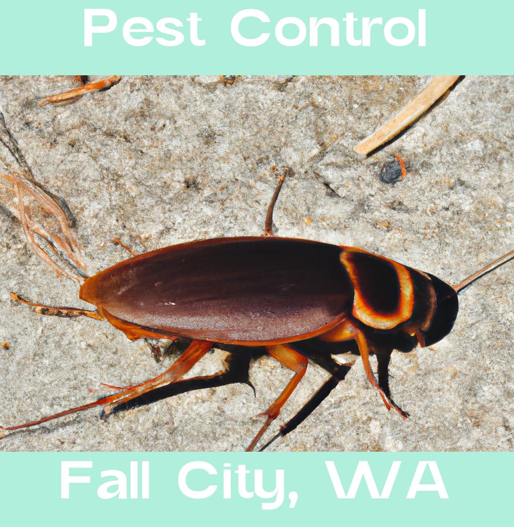 pest control in Fall City Washington