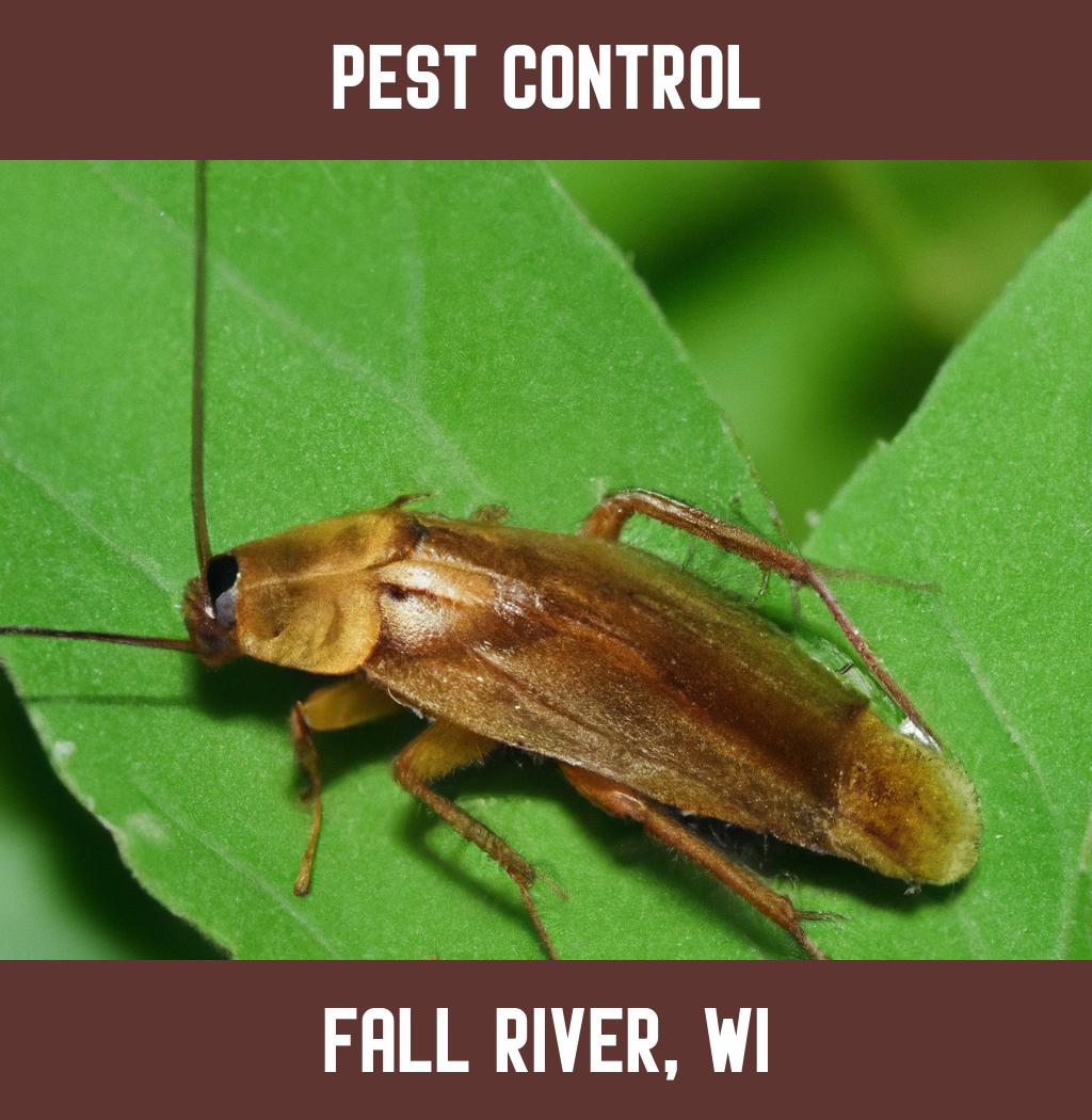 pest control in Fall River Wisconsin