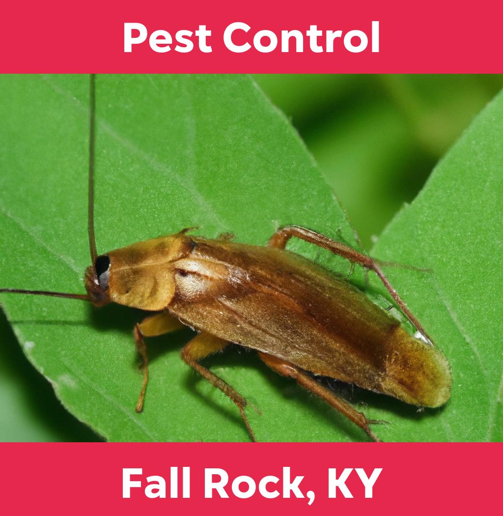 pest control in Fall Rock Kentucky