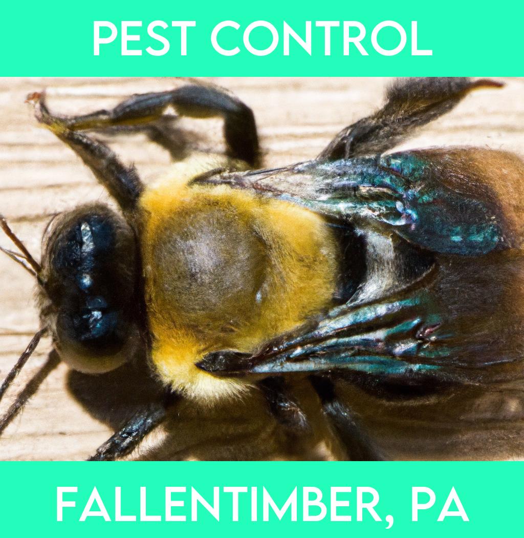 pest control in Fallentimber Pennsylvania