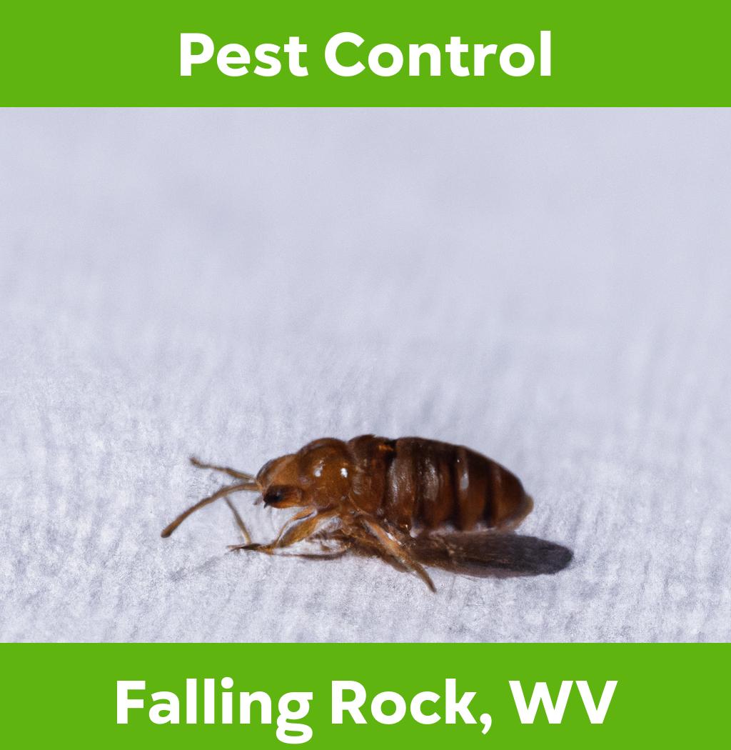 pest control in Falling Rock West Virginia