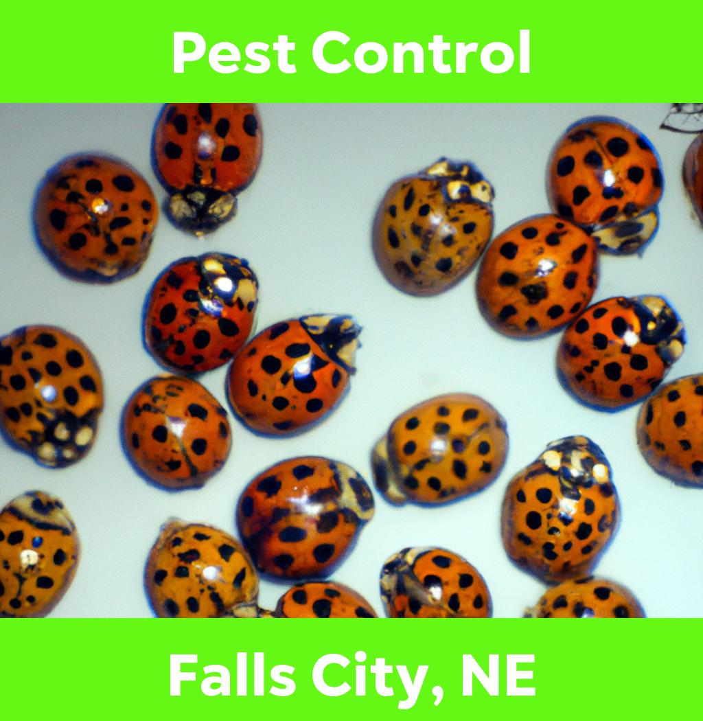 pest control in Falls City Nebraska