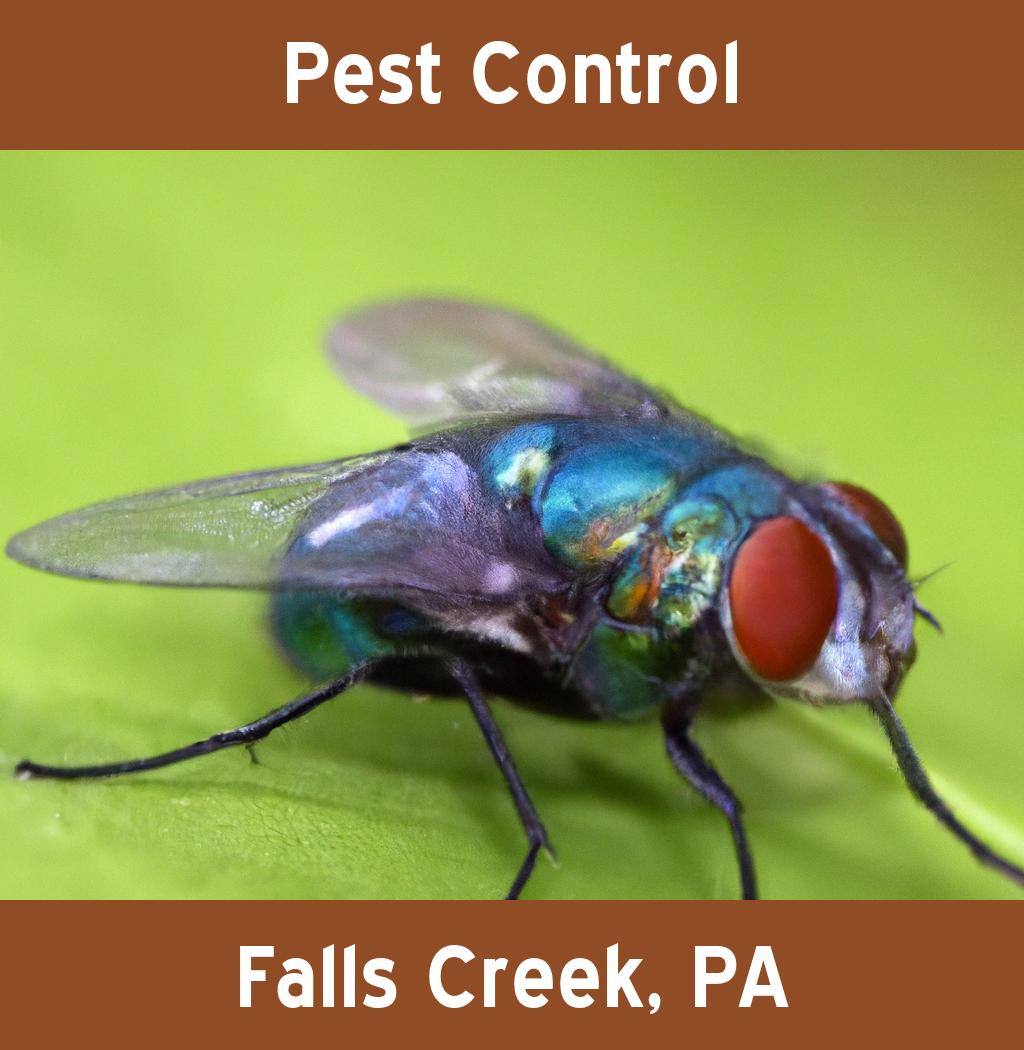 pest control in Falls Creek Pennsylvania