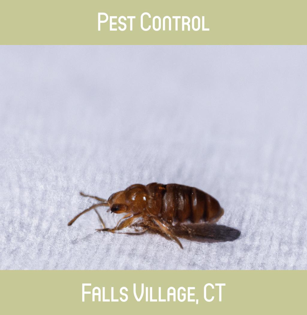 pest control in Falls Village Connecticut