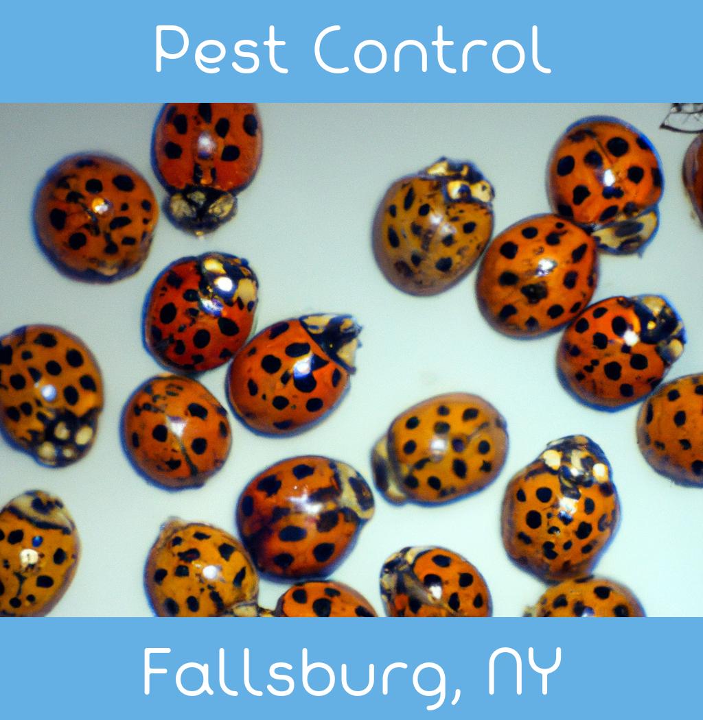 pest control in Fallsburg New York
