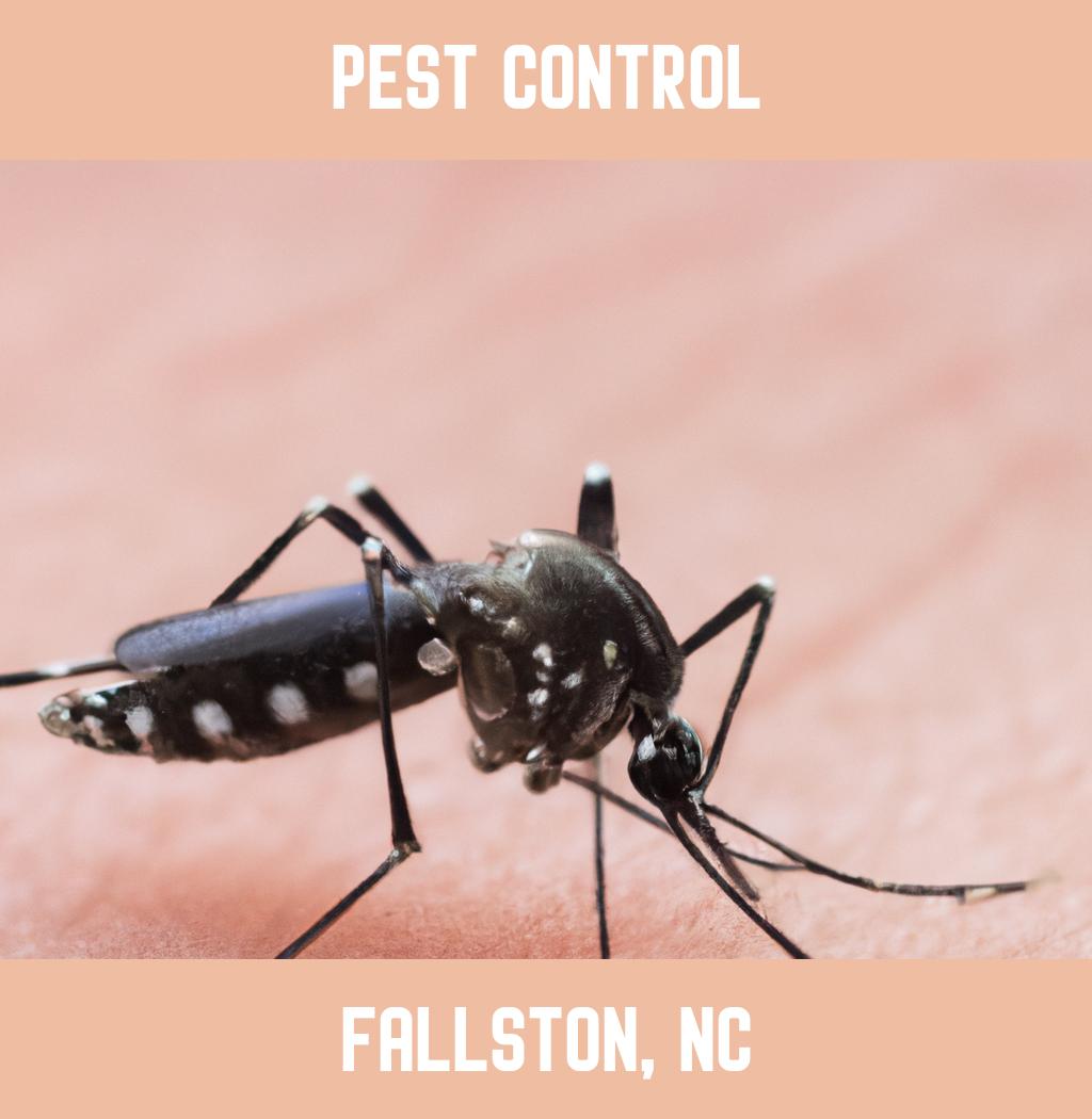 pest control in Fallston North Carolina