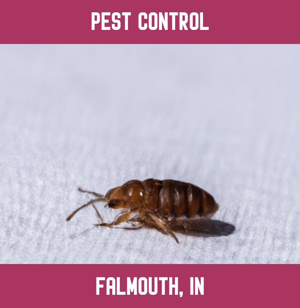 pest control in Falmouth Indiana