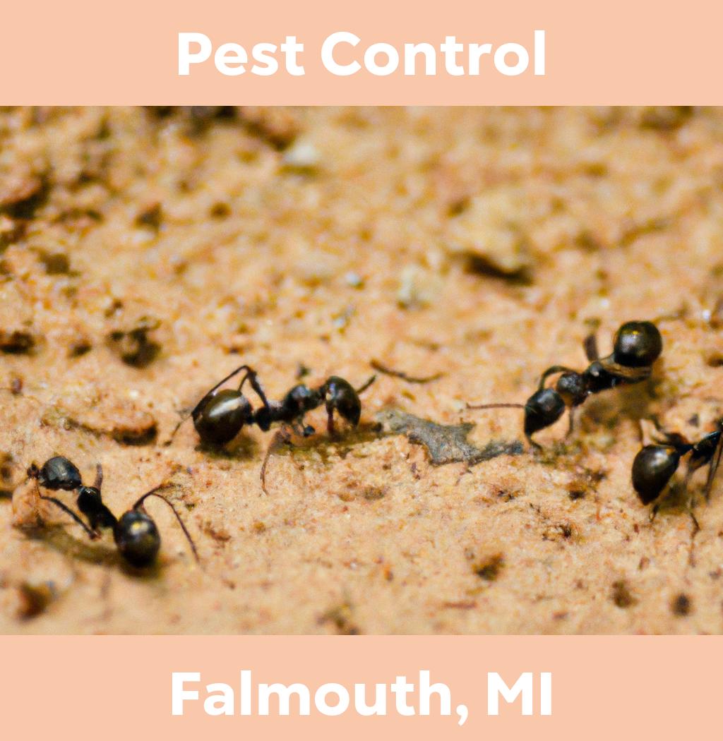 pest control in Falmouth Michigan