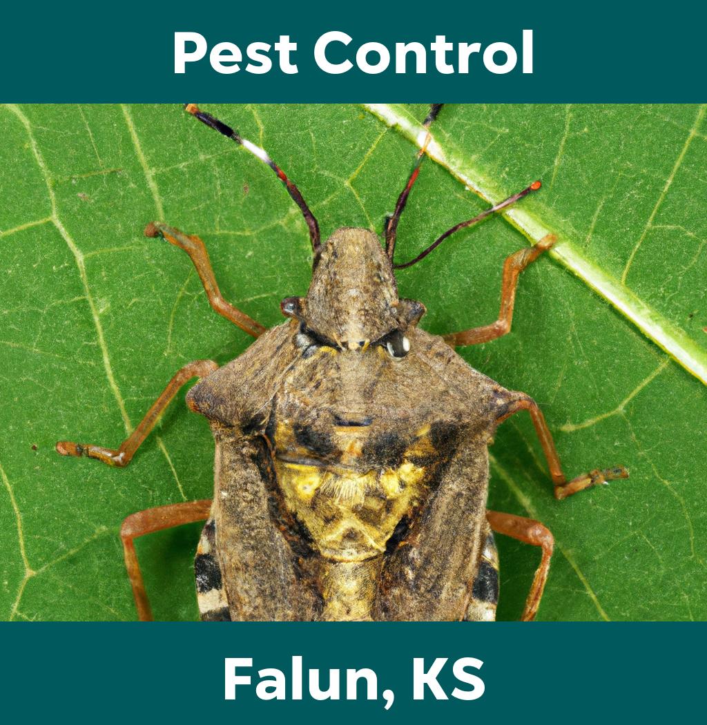 pest control in Falun Kansas