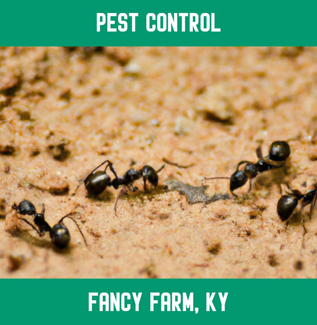 pest control in Fancy Farm Kentucky