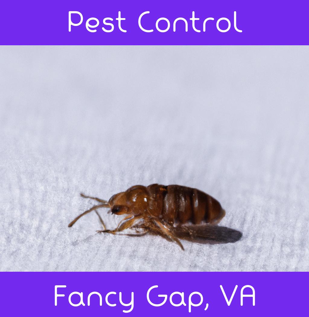pest control in Fancy Gap Virginia