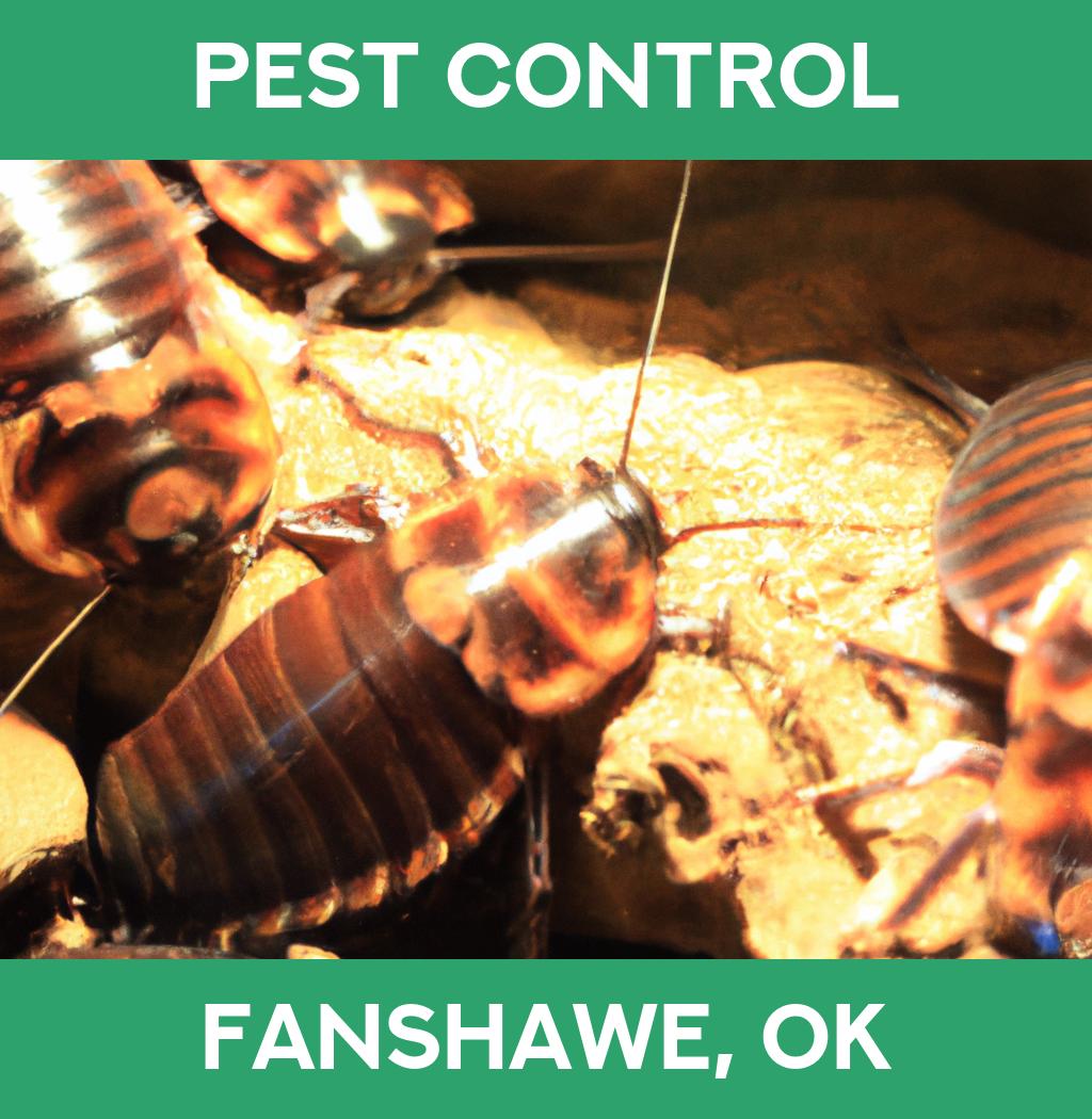 pest control in Fanshawe Oklahoma