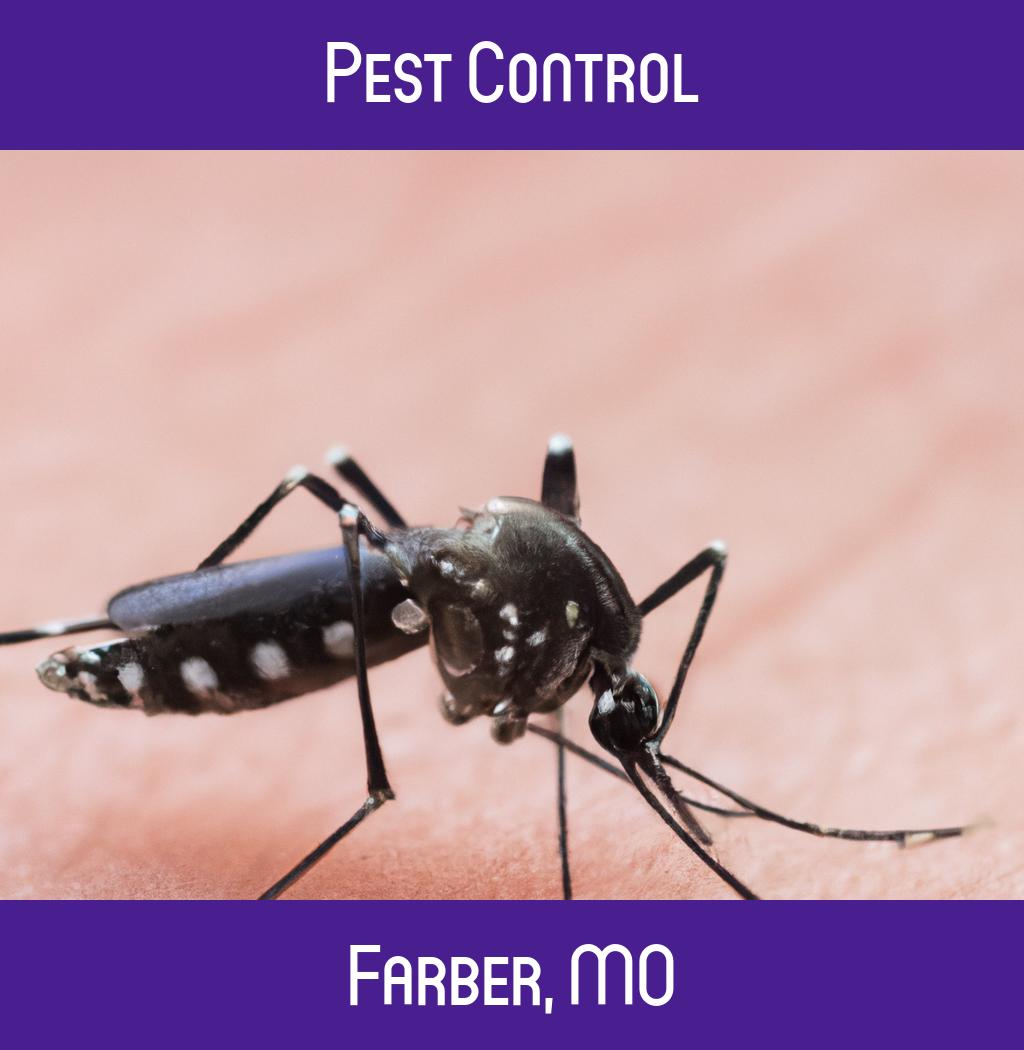 pest control in Farber Missouri
