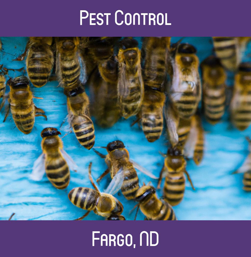 pest control in Fargo North Dakota