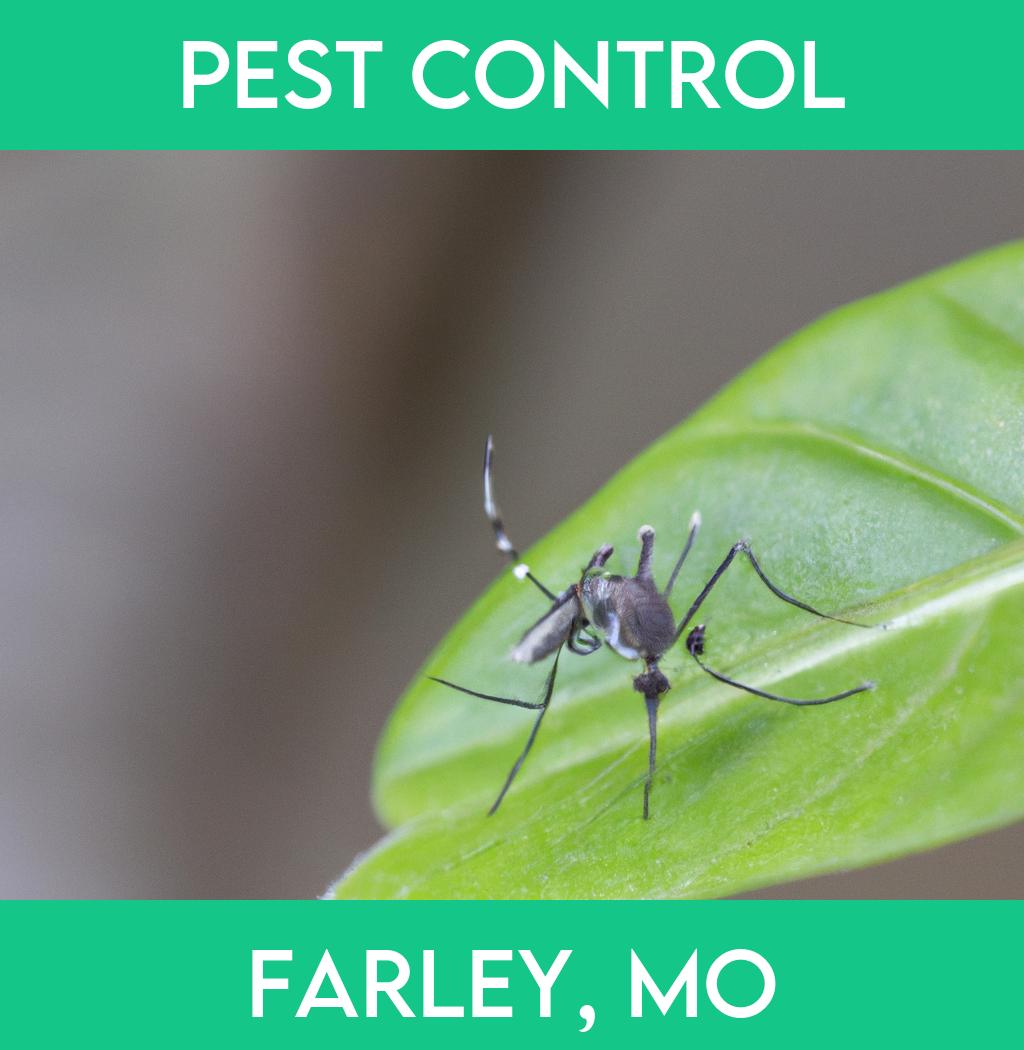 pest control in Farley Missouri