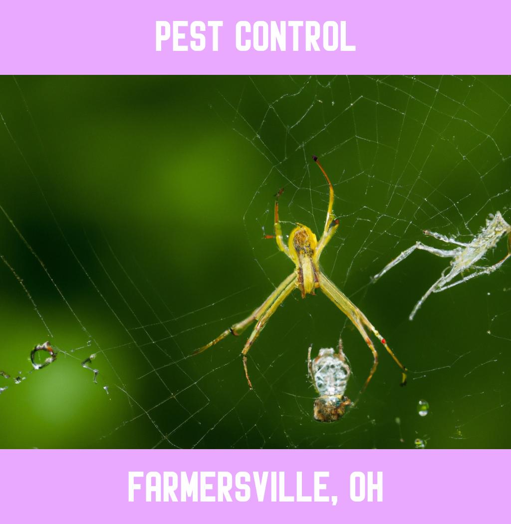 pest control in Farmersville Ohio