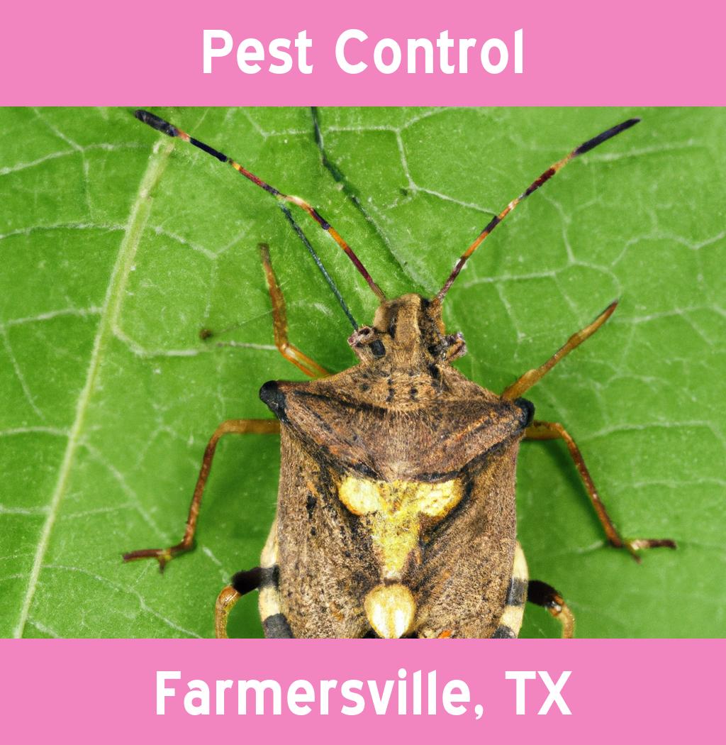 pest control in Farmersville Texas